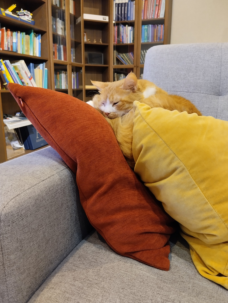 Мимикрирует, надеется, что я её не замечу и отвалю)