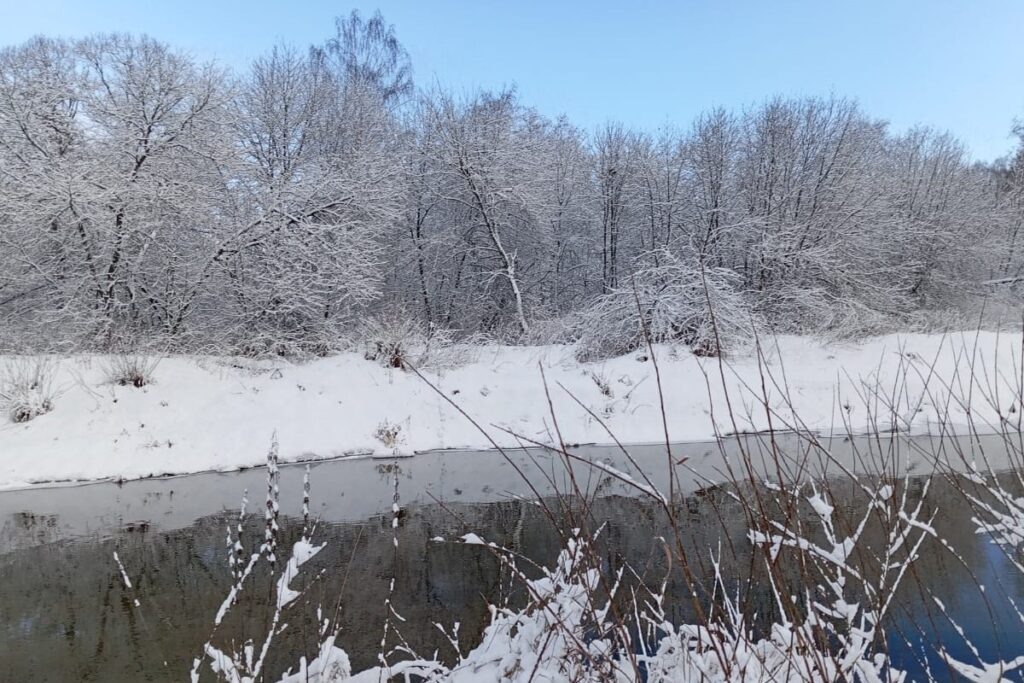 Фото: Ярослав Князев