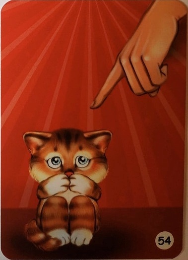 МАК котейко.