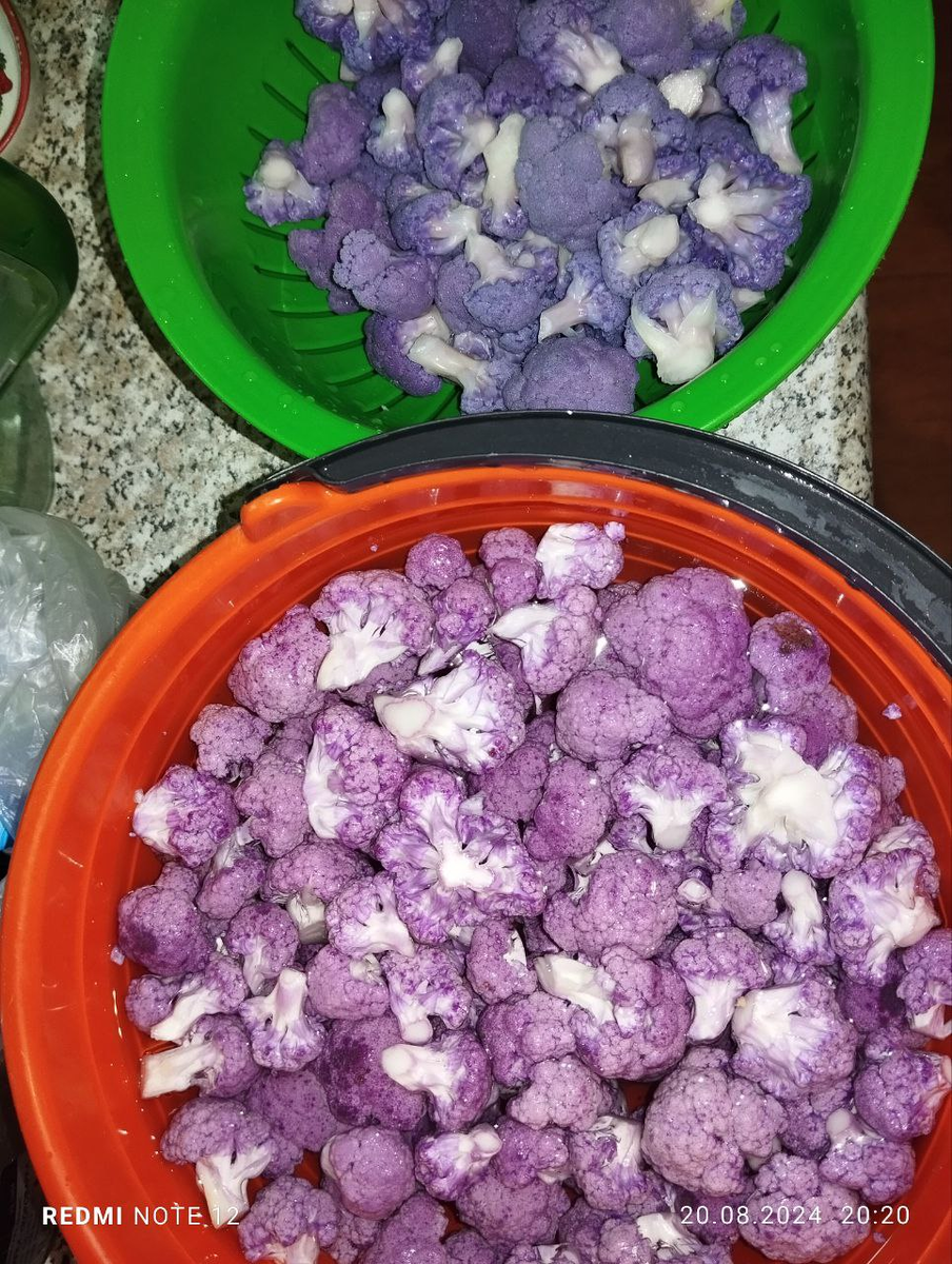 Капуста цветная, фиолетовая, Деперпл