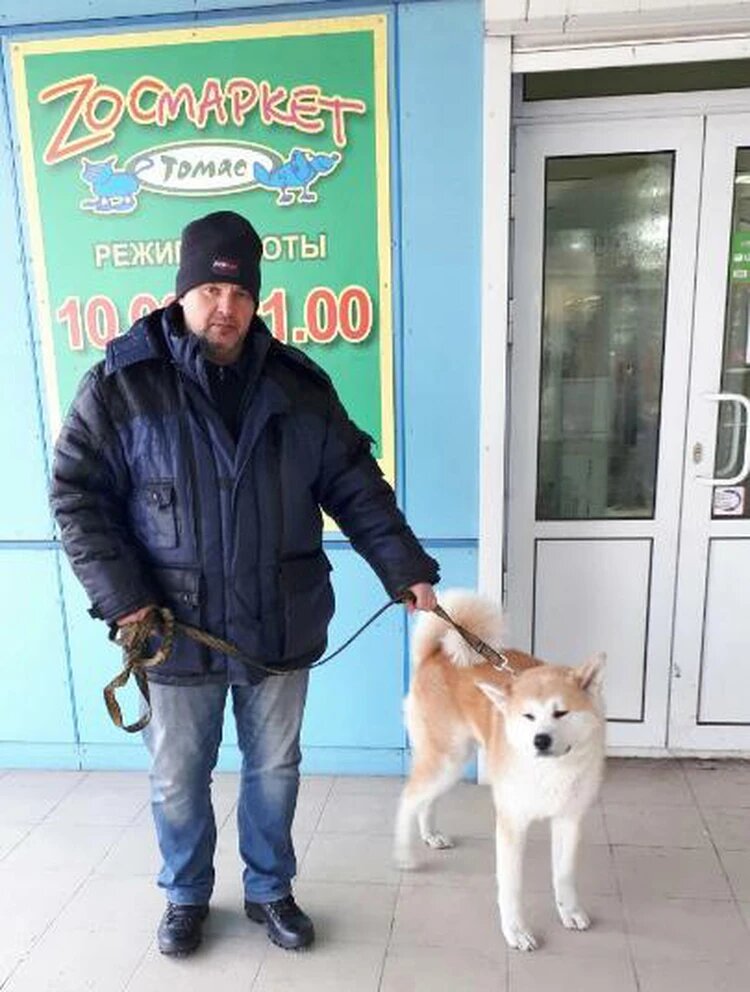 Юрий накупил Сэму всего: мясо, новый поводок и ошейник, миску, разные собачьи радости. На 7,5 тысяч потратился. Фото: соцсети.