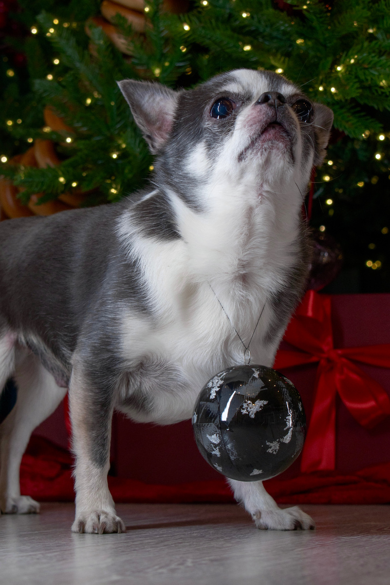 новогодний шар своими руками