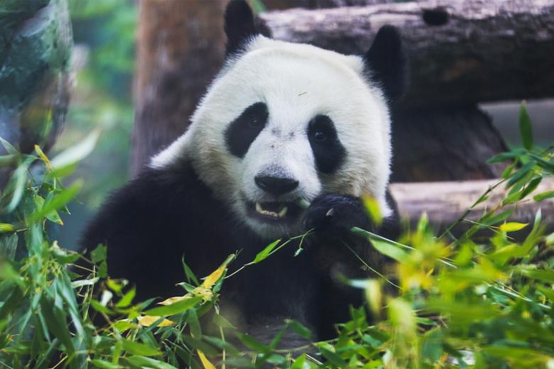    Наталья Шатохина/NEWS.ru