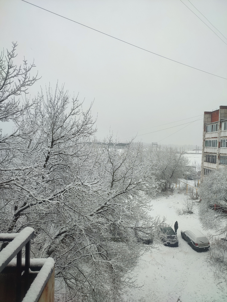 Соседи ходят машины прогревать. 