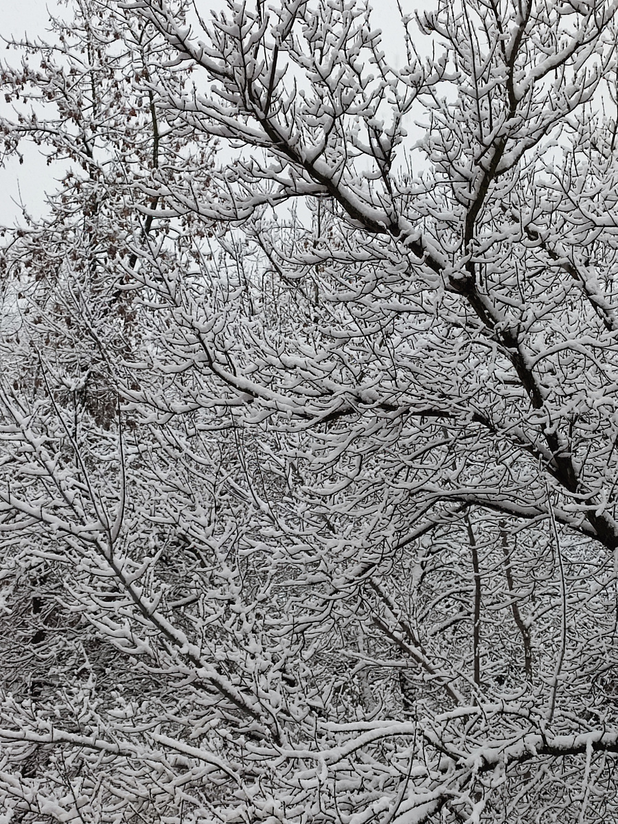 Из окна просто сказка, а не вид! 