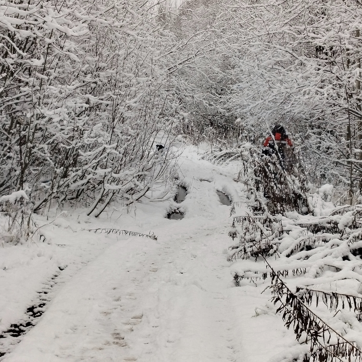 Это у нас так красиво сегодня.