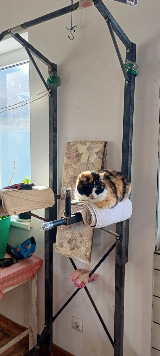 Мыня на тренажёре 