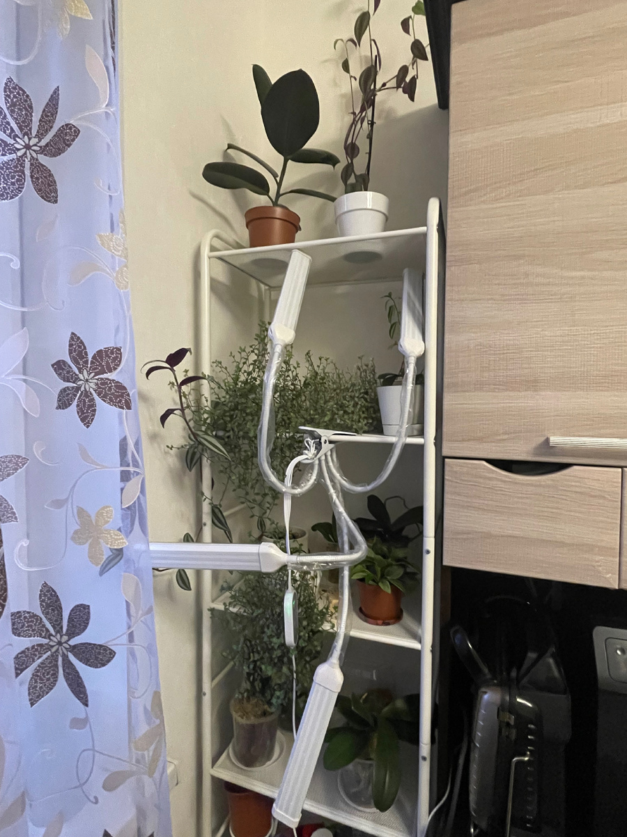 Мой ботанический уголок 