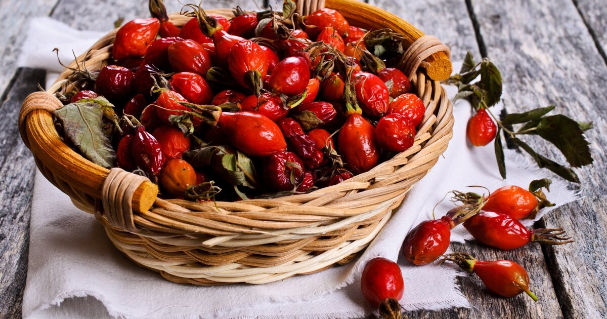 Шиповник кладезь витаминов