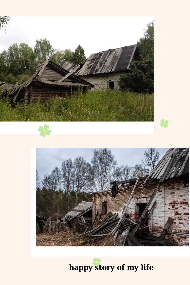 Я сделала коллаж из фото Михаила