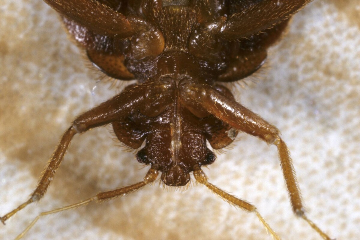     / Источник: © Global Look Press