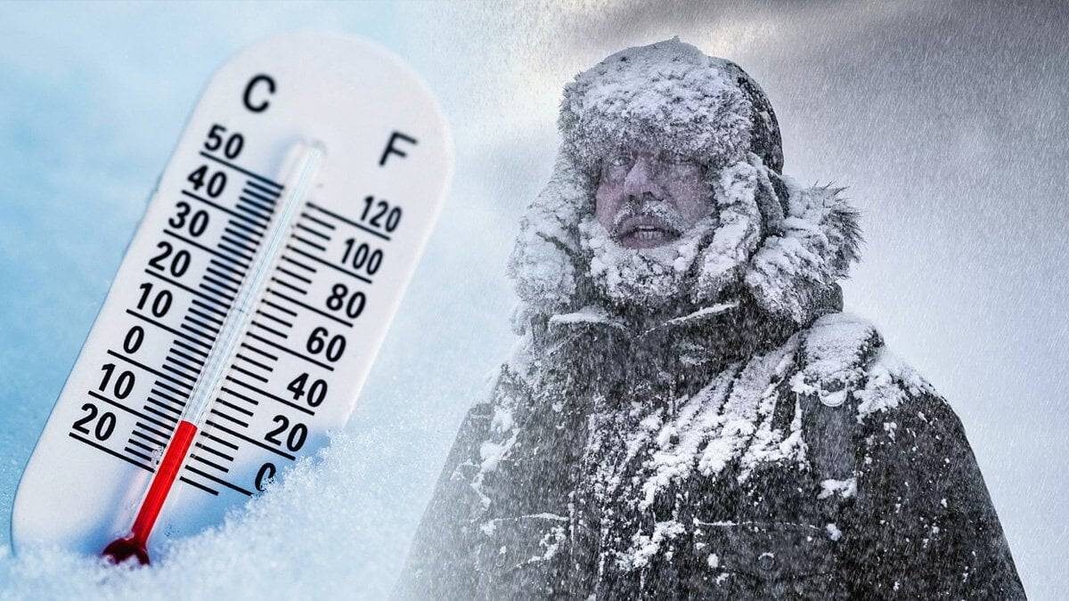 Фотография из соцсетей: Уличный репортер