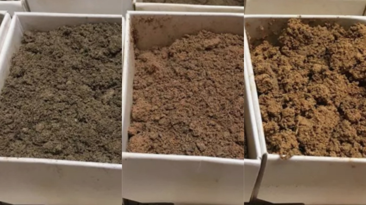 Определяем тип почвы по внешнему виду и структуре - основа правильной диагностики