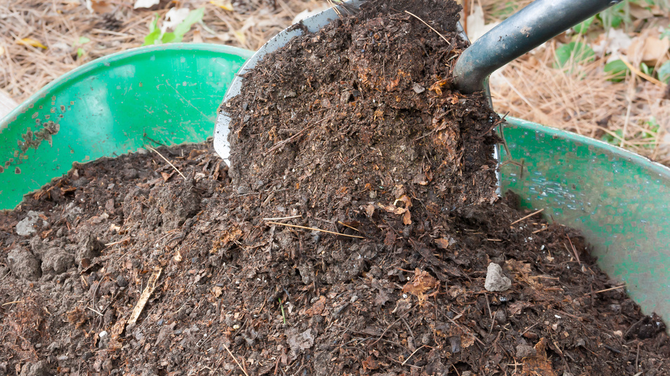 Получаю плодородную почву на проблемном участке без химии. Органический план улучшения