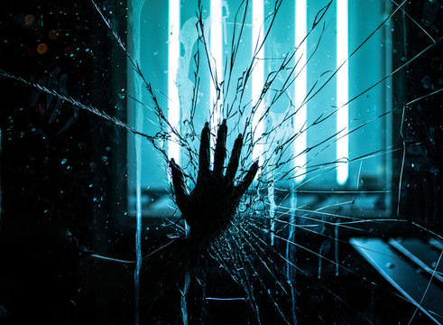 Фото из Интернета 