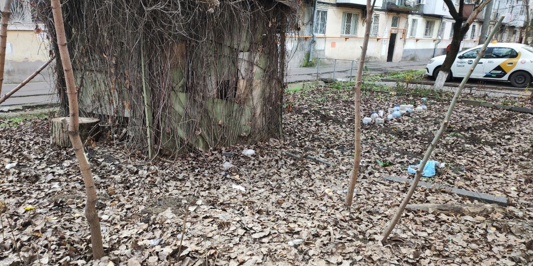 Опавшая листва здесь будет лежать годами