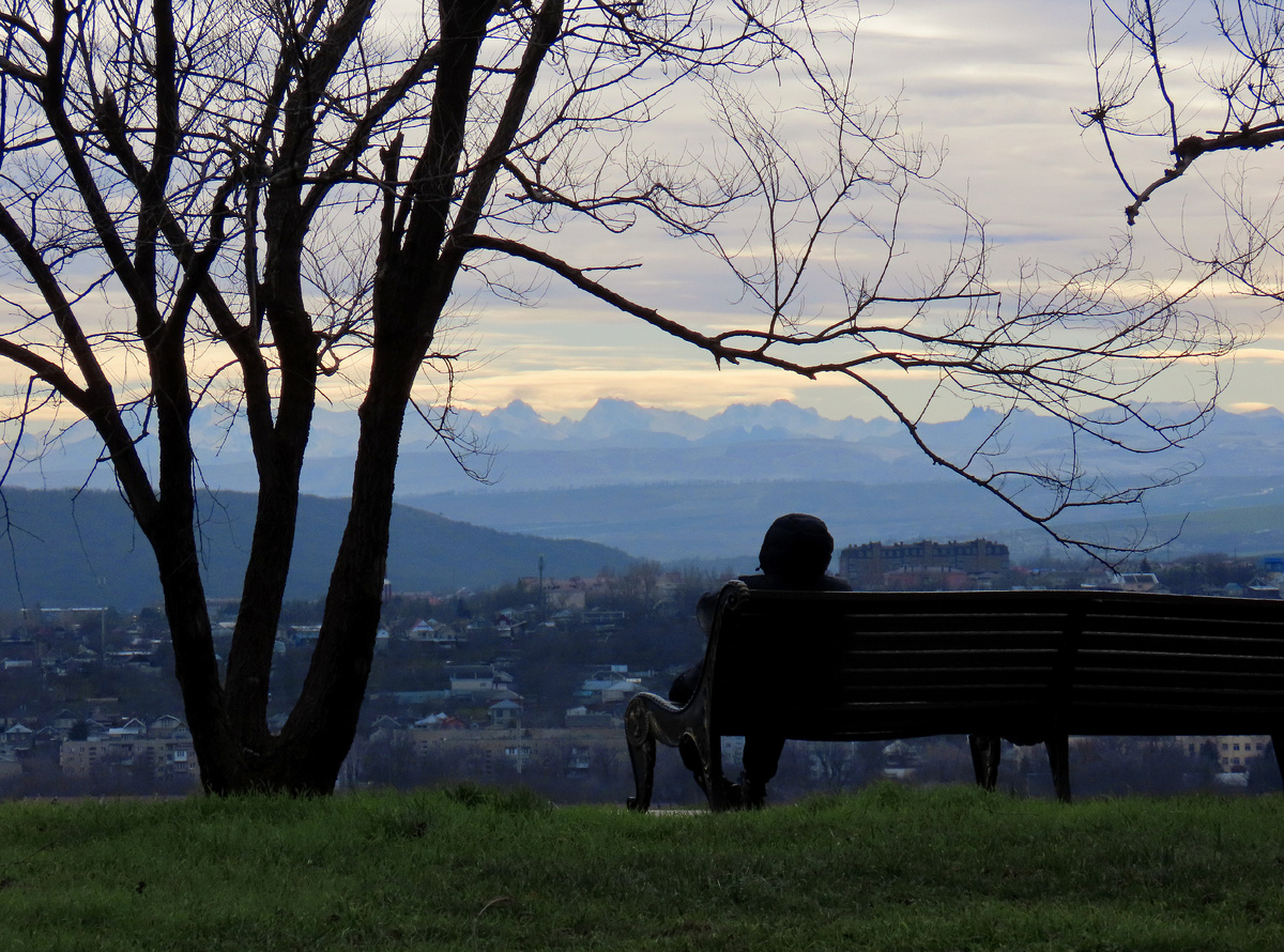 Вид на Кавказский хребет с горы Горячей (декабрь 2025 года)