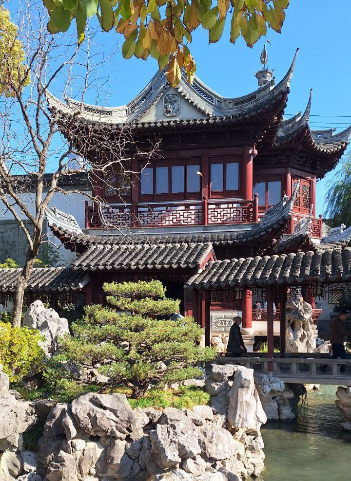 Сад Радости (фото мамы)