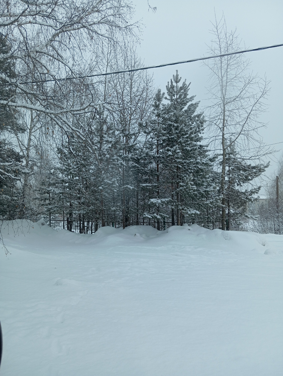 Всем тем,у кого снега нет