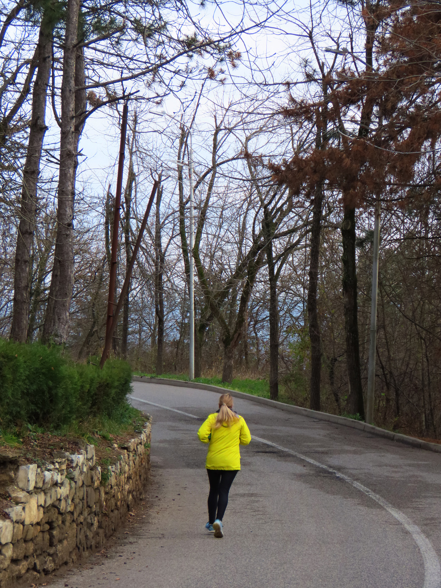 Погнали! (декабрь 2025 года)