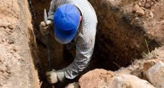 Картинка из интернета для иллюстрации