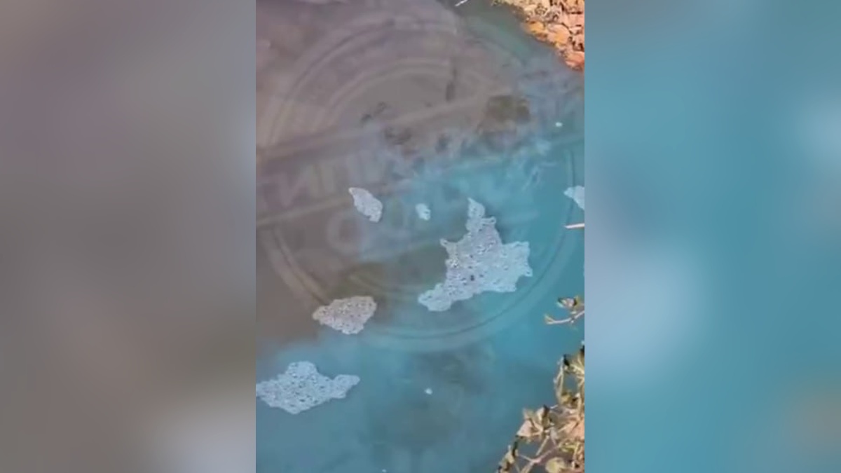    Скриншот видео t.me/soch01