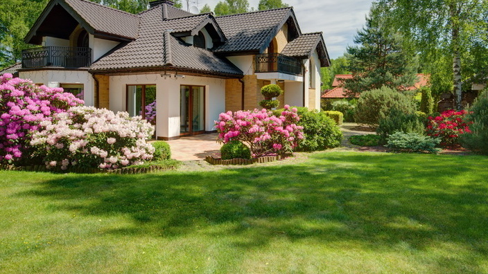 Правильная оценка освещенности - залог успешной подсадки