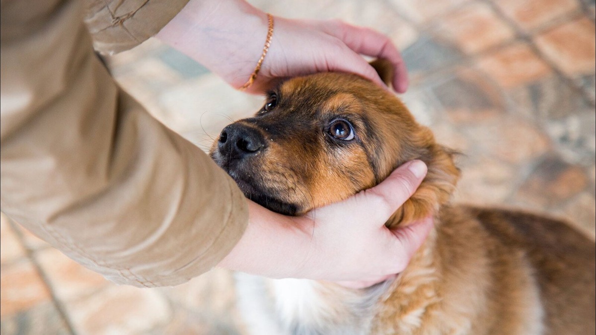    Источник: Пресс-служба комплекса городского хозяйства Москвы