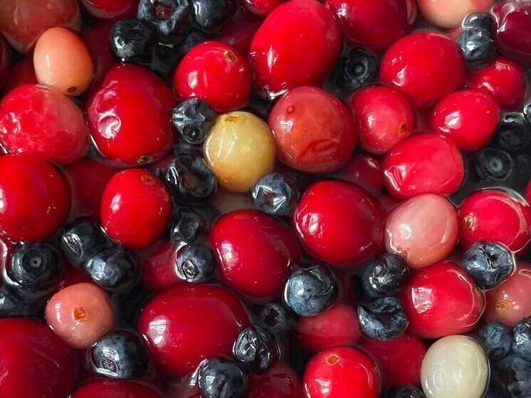     Специалист посоветовал больше гулять на свежем воздухе, даже если на улице пасмурно и хмуро. Фото: Архив МК в Великом Новгороде