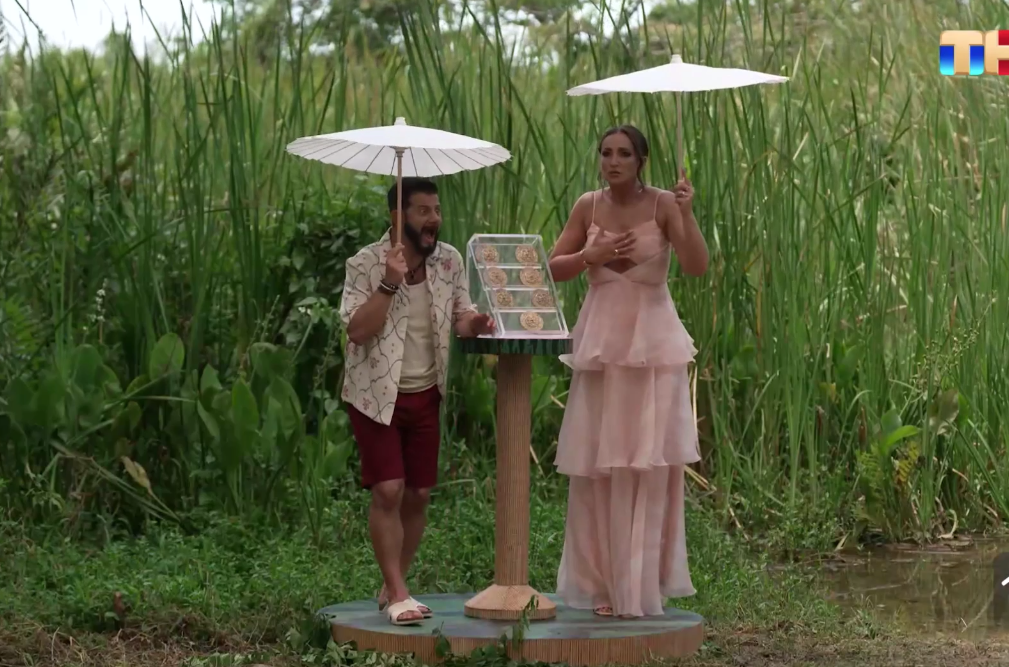 Звезды в джунглях" 14.12.2025