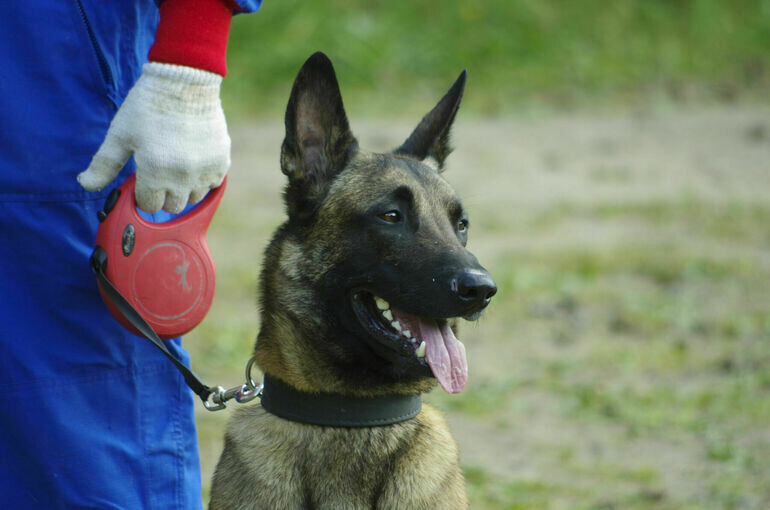   Игорь Самохвалов/«Парламентская газета»