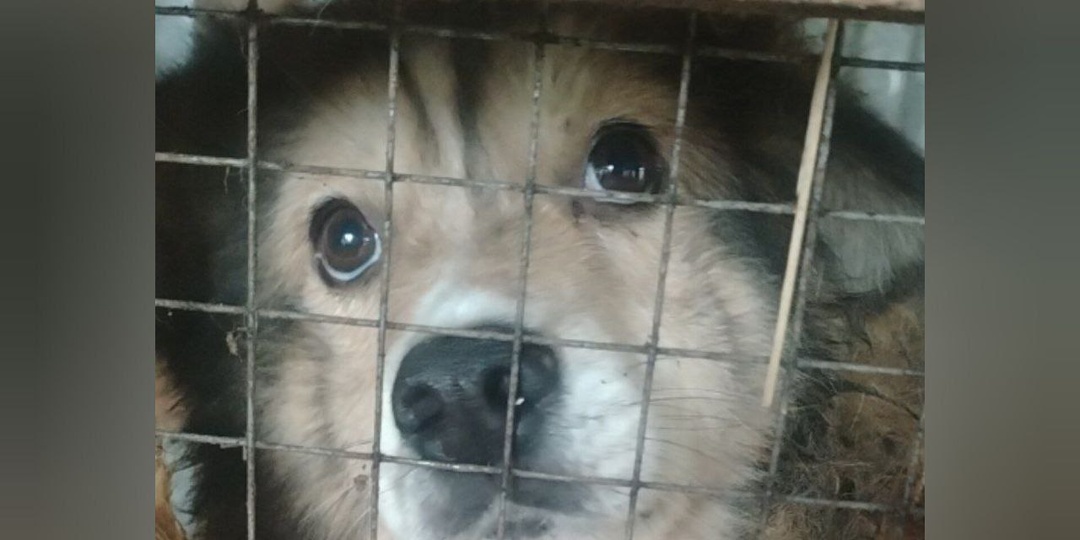 День 💯 в приюте