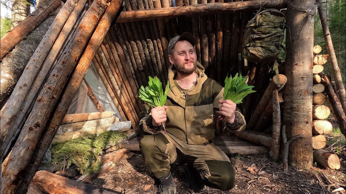 Картинка из интернета для иллюстрации