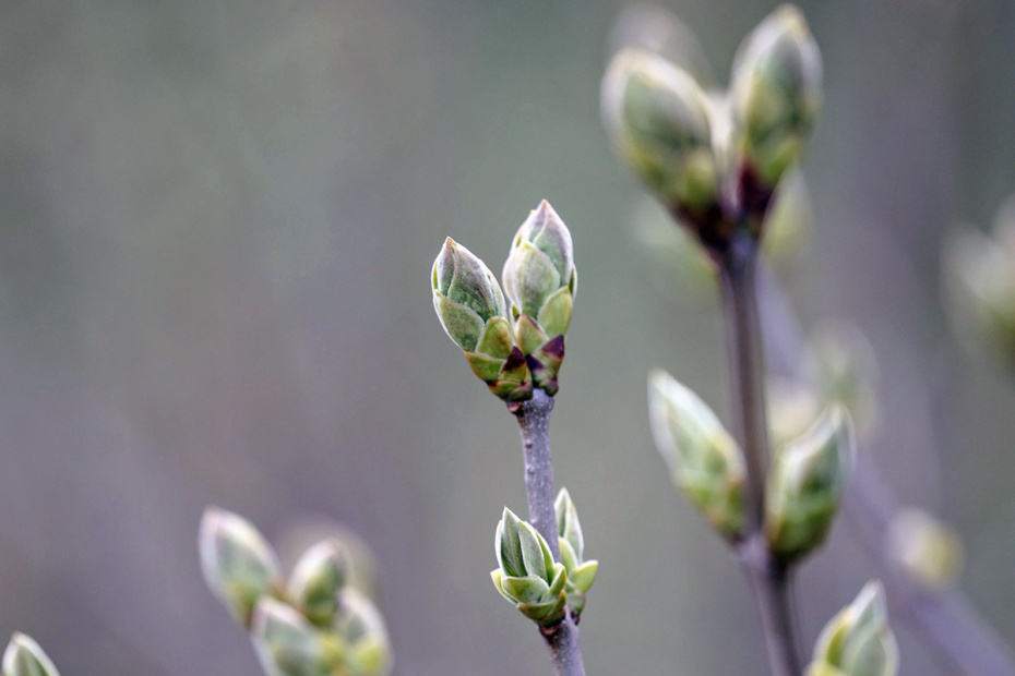    Сергей Булкин/NEWS.ru