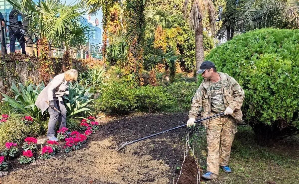    Фото пресс-служба администрации Сочи