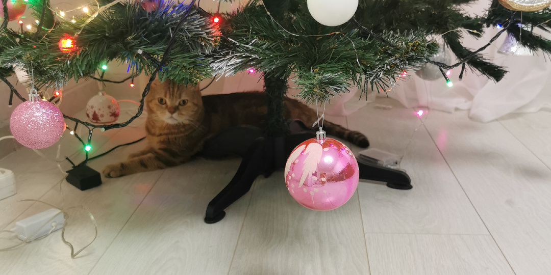 Новый год к нам мчится)