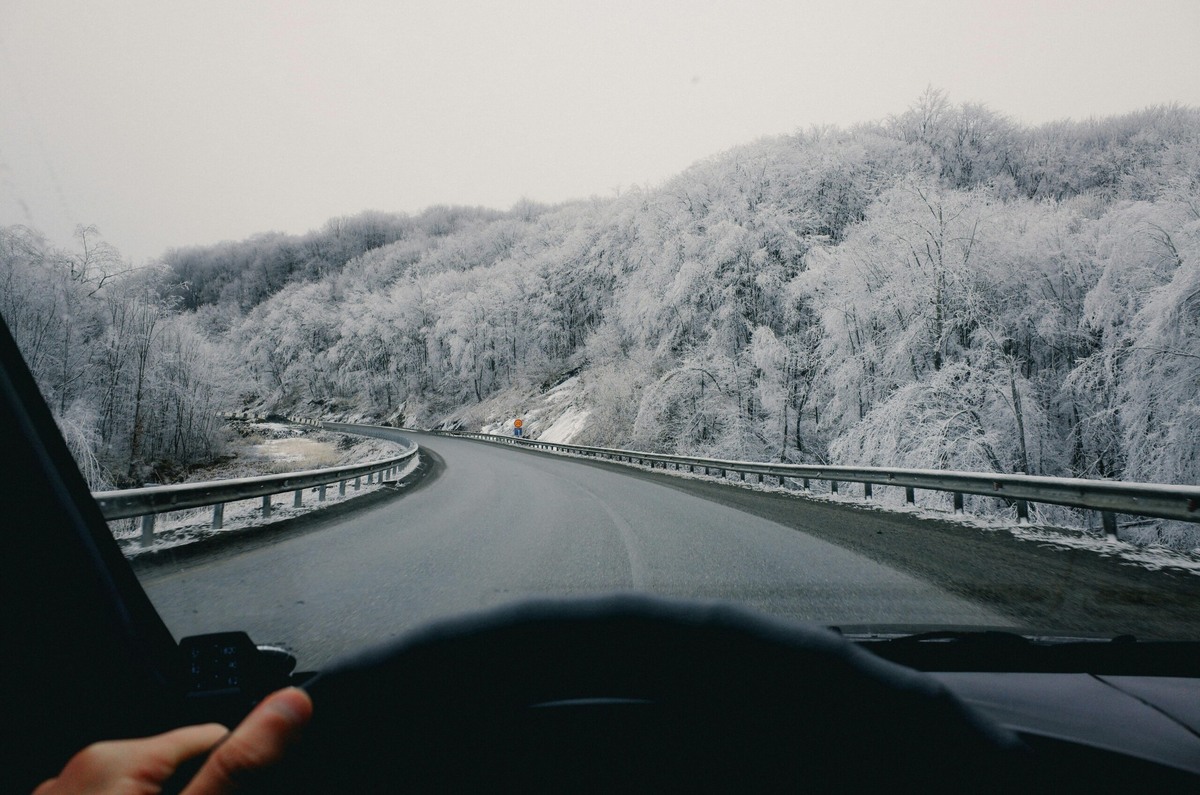    Автор — Daniil Ustinov, источник — pexels.com Марина Погодина