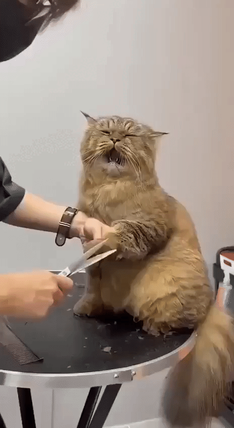 Когда-нибудь тебе внушат, что о твою доброту вытирают ноги. Не верь. Оставайся добрым. Ведь добро — это просто,  и оно спасает мир. С уважением Елена. 