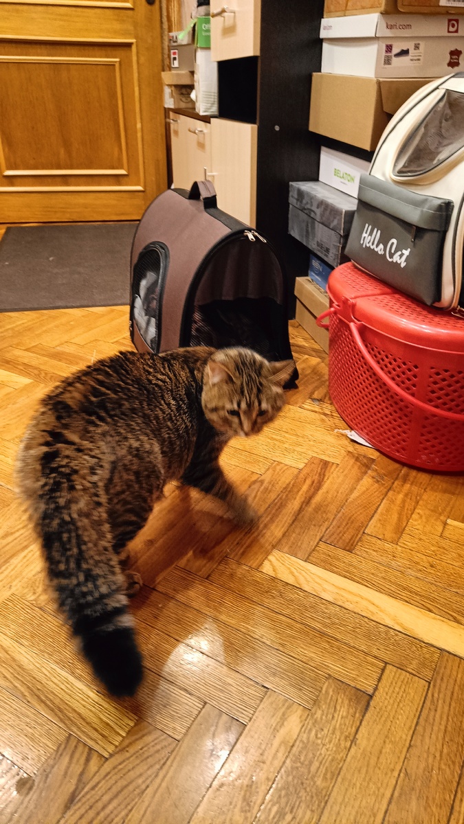 Маруся встречает Бережка. сначала тоже шерсть дыбом встала