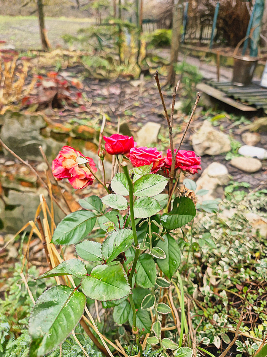 Фото автора 