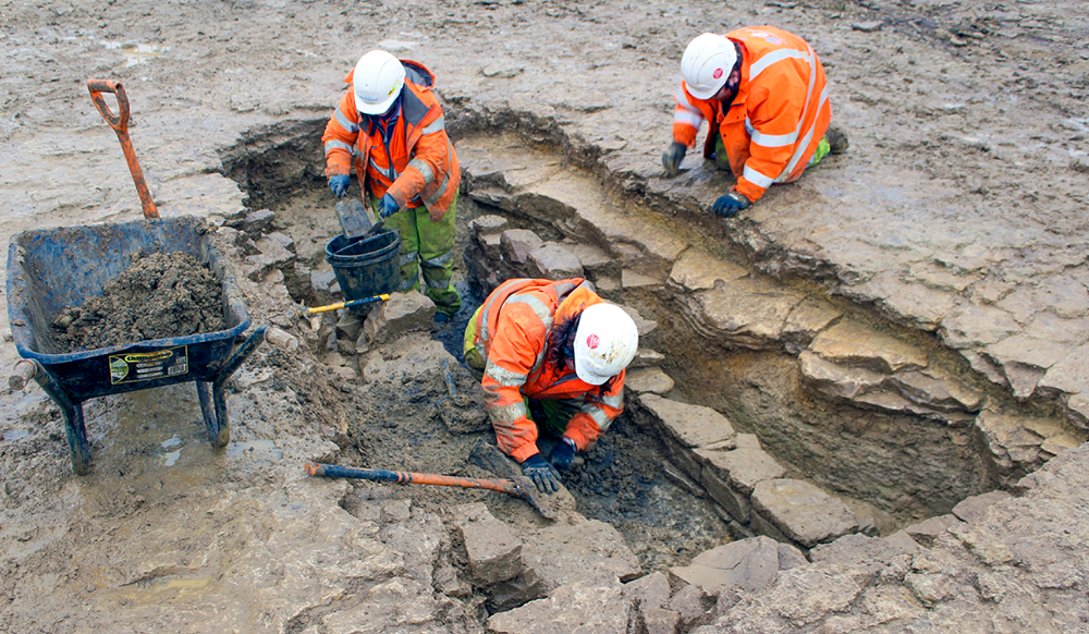     Фото: Oxford Cotswold Archaeology