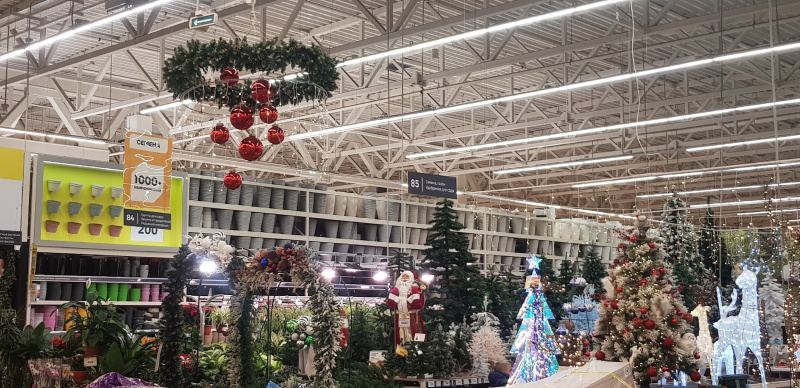    Елочный базар открылся в ПетрозаводскеИрина Меркова