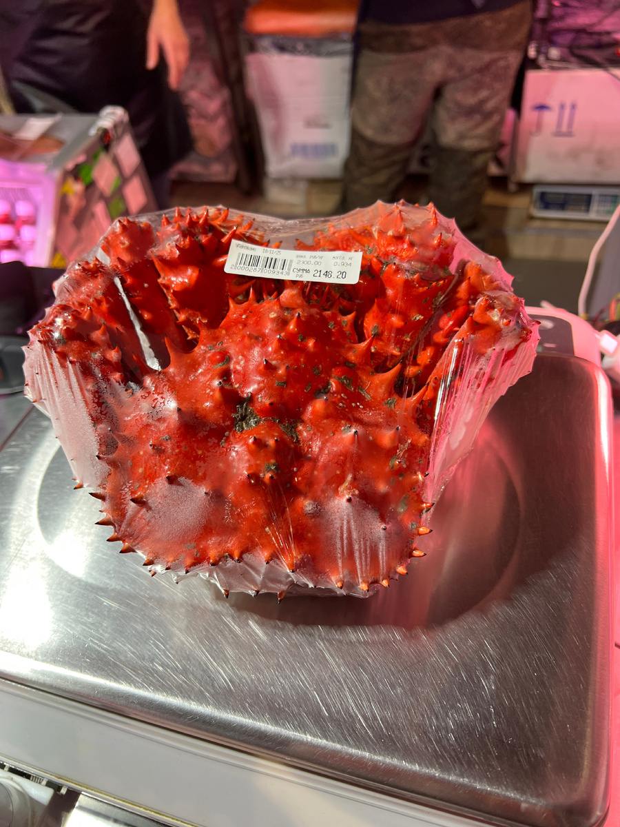 Краб готов в путь 