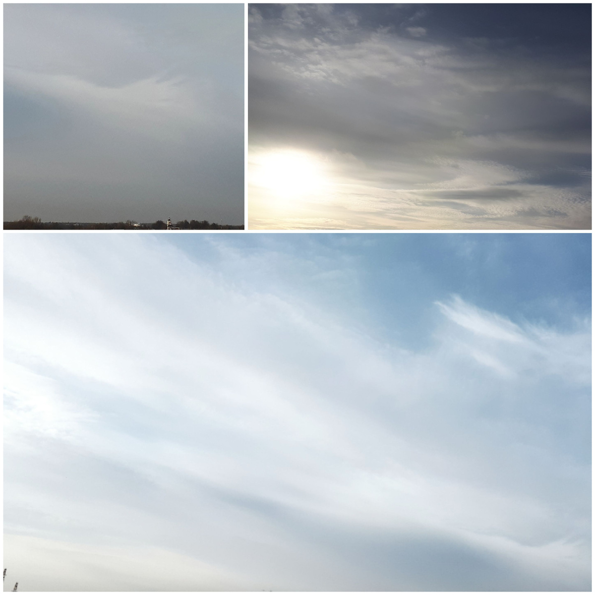 Коллаж автора 07.12.2025г.