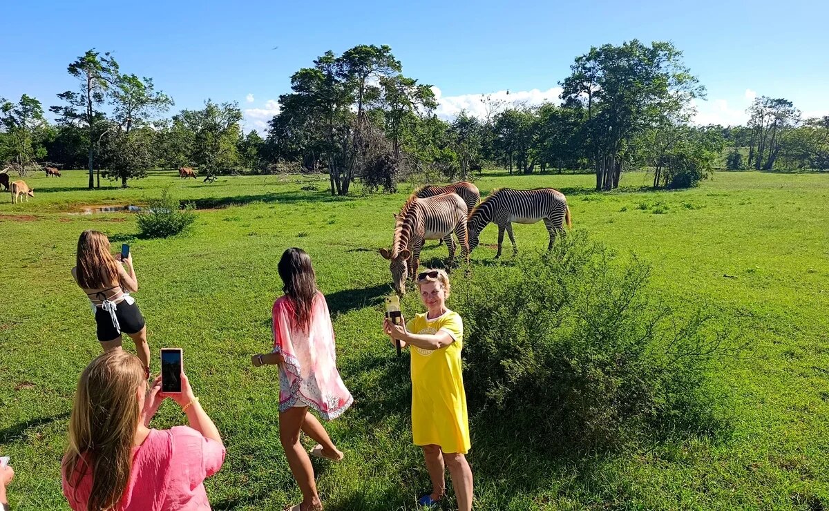    ТОП-25 лучших стран в мире для наблюдения за дикими животными