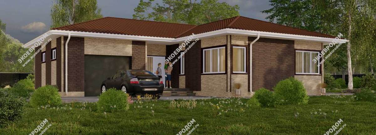 Проект "Синево"