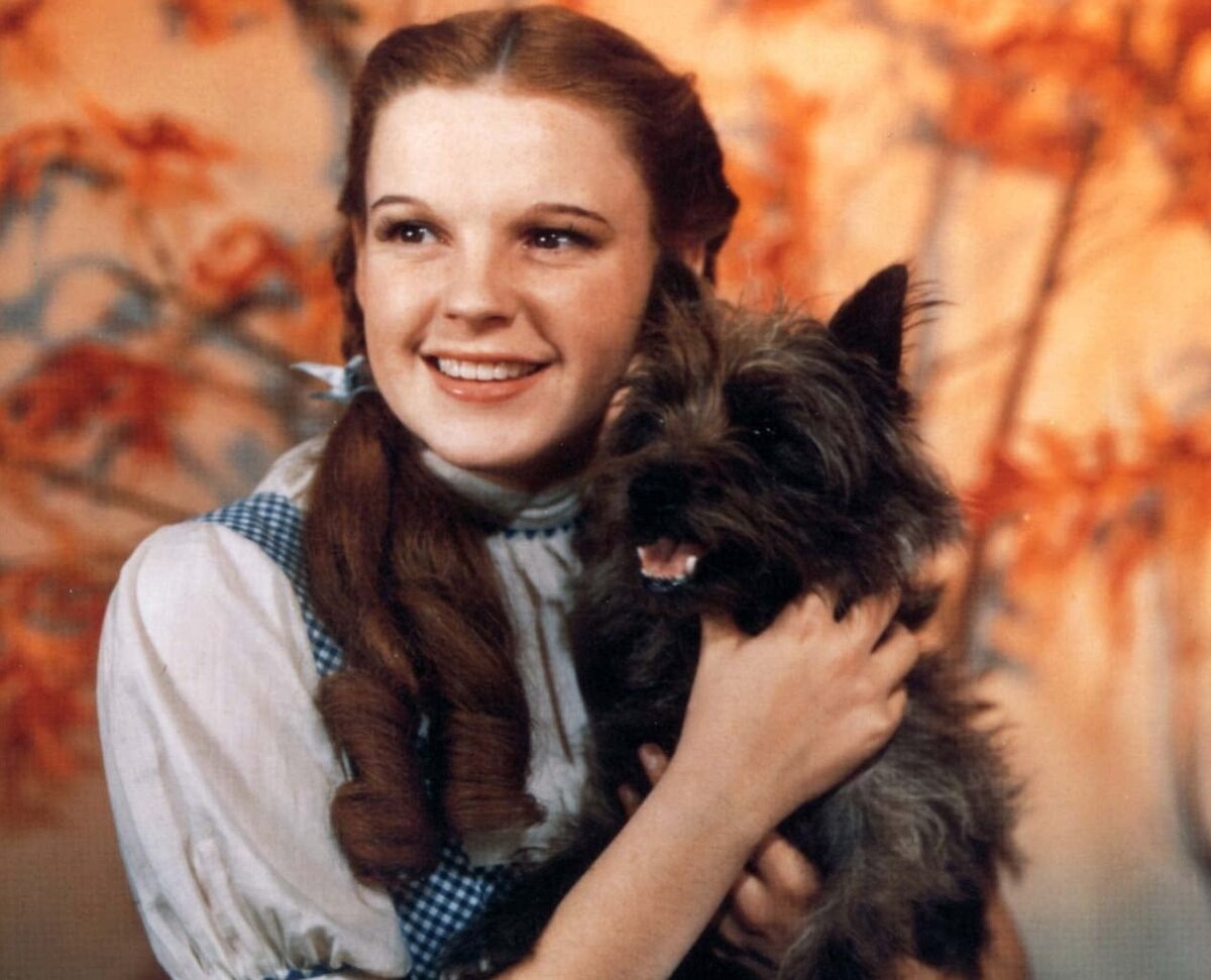 Знаменитый пёсик Тотошка (настоящее имя Тото, англ. Toto) — это персонаж, который прочно ассоциируется с волшебным миром страны Оз Лаймена Фрэнка Баума, а также с его переосмыслением в произведениях Александра Волкова об Изумрудном городе.