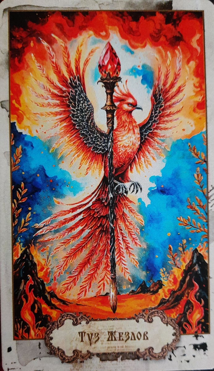 фото ЕлВита - основная энергия недели