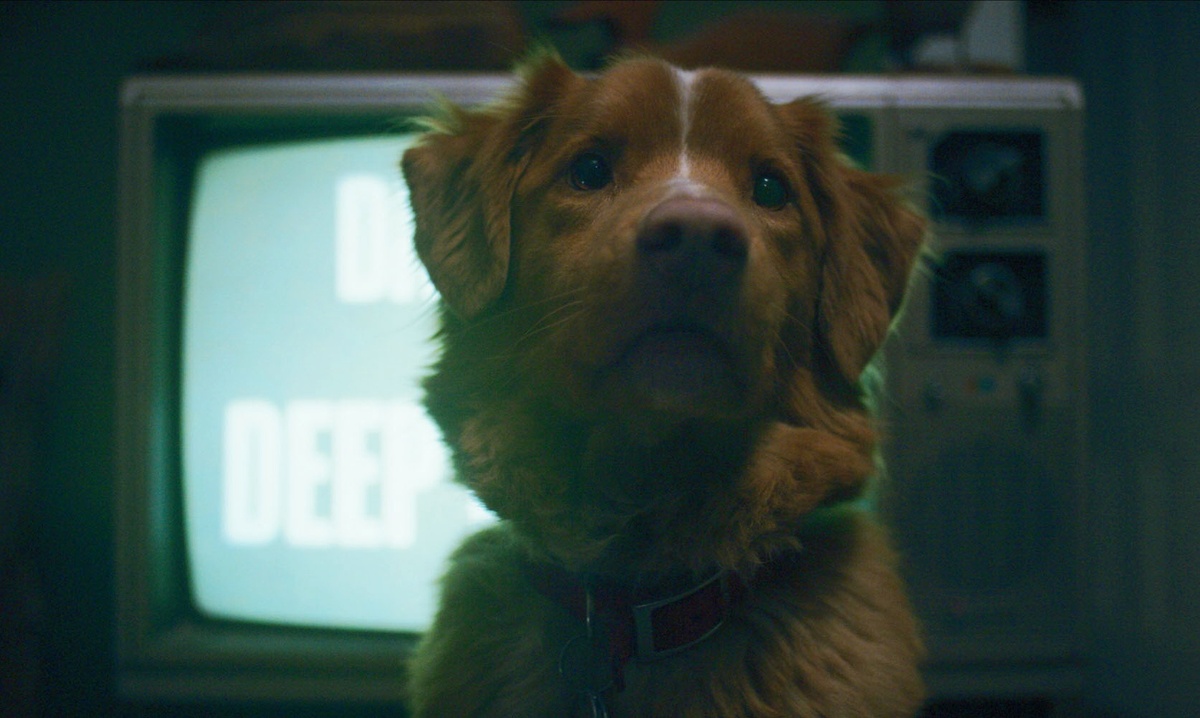 кадр из фильма 