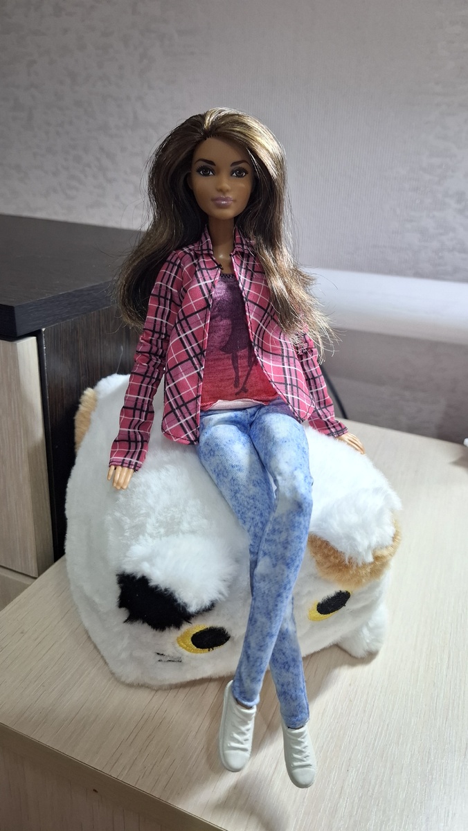 Вот такой ко мне приехала Николь (Барби скейтбордистка)